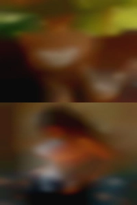 TX cock that mess around.